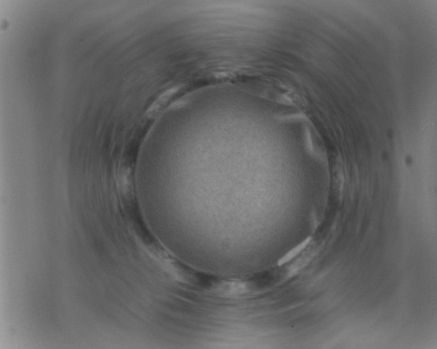 X0000074290276200609081859