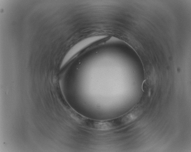 X0000074290277200609081859