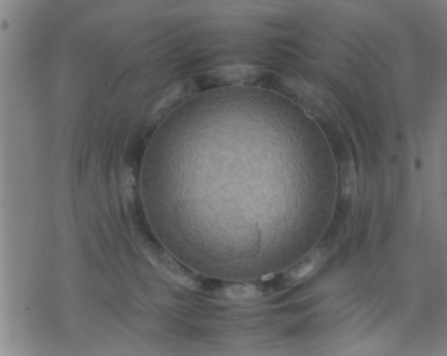 X0000074290279200609081859