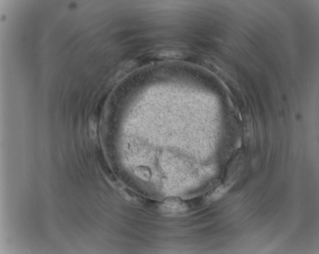 X0000074290281200609081900