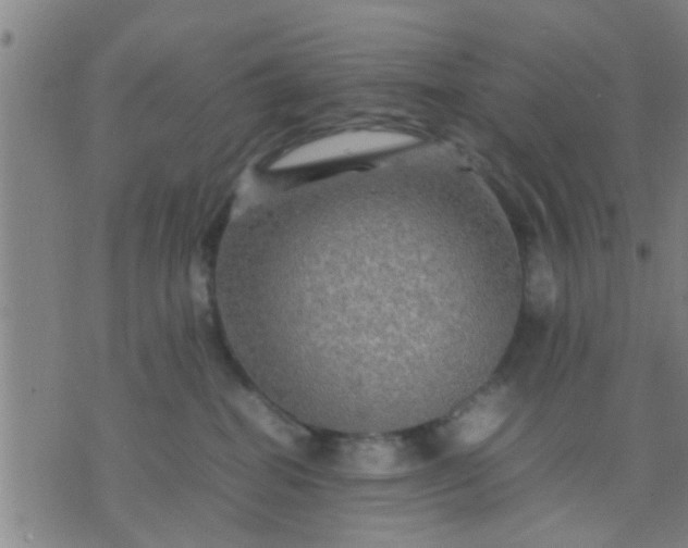 X0000074290282200609081900