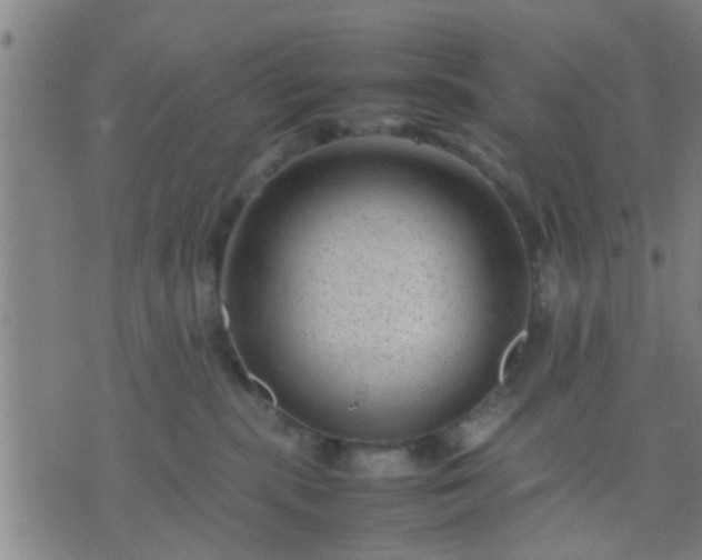 X0000074290283200609081900