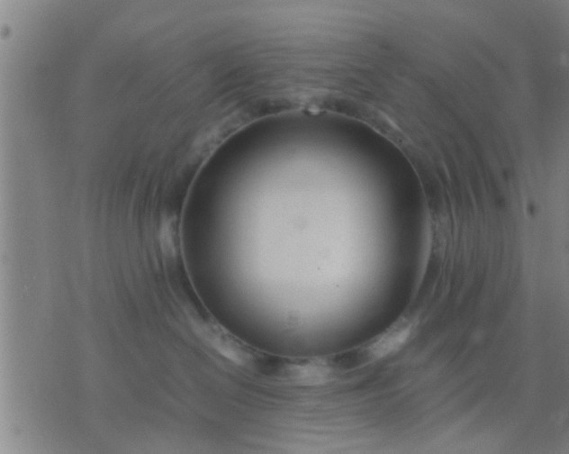 X0000074290286200609081900