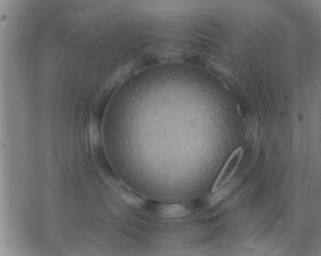 X0000074290287200609081900