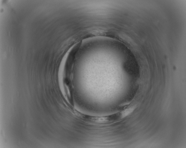 X0000074290288200609081900