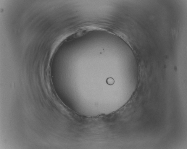 X0000074290289200609081859