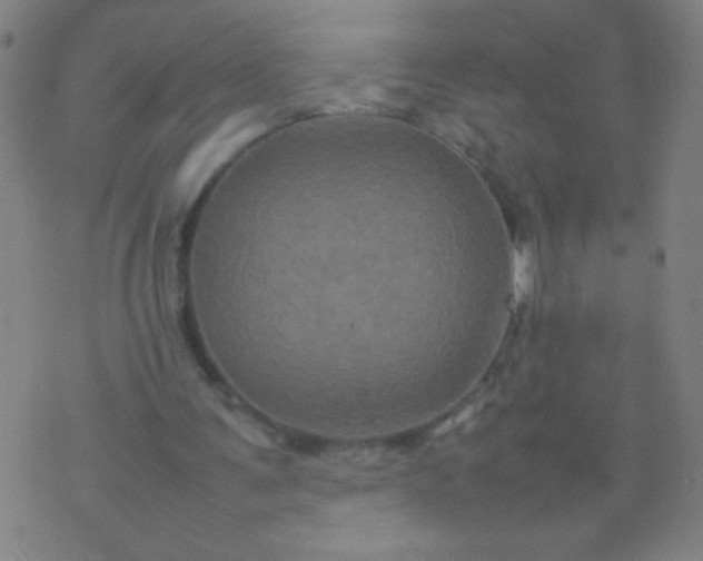 X0000074290291200609081859