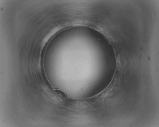 X0000074290292200609081859