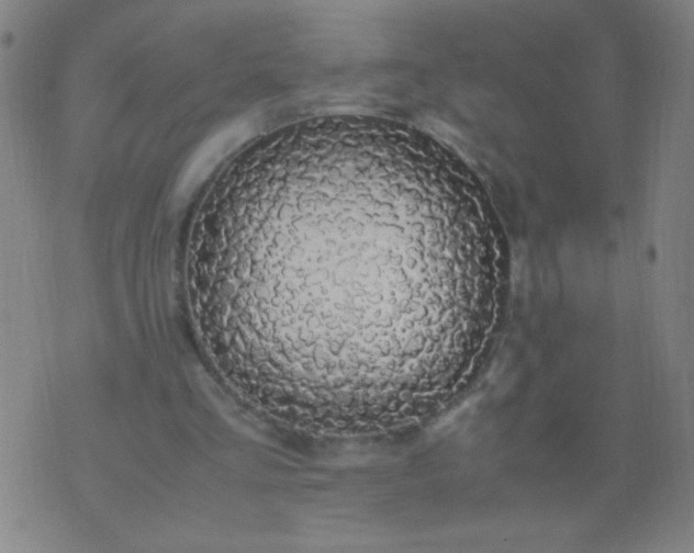 X0000074290293200609081859