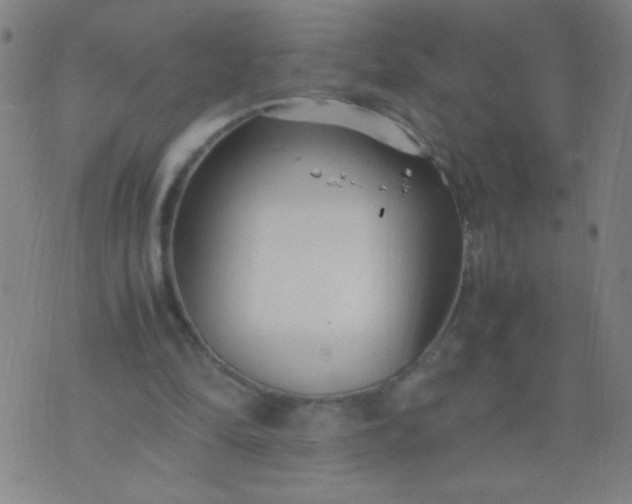 X0000074290294200609081859