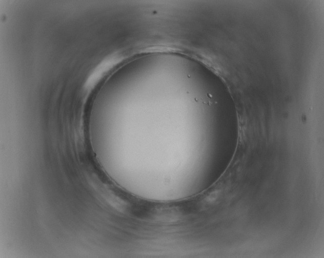 X0000074290296200609081859