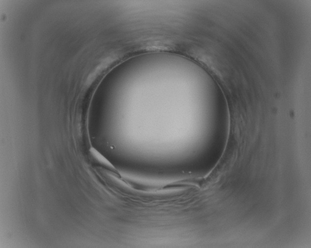 X0000074290299200609081859