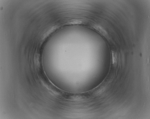 X0000074290300200609081859