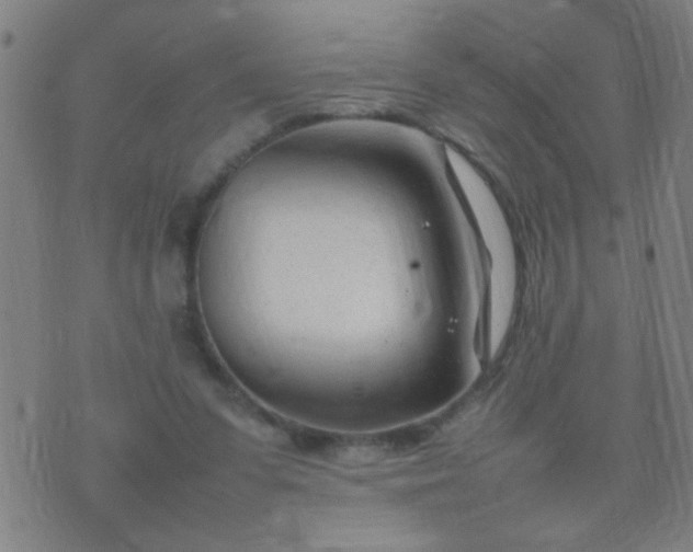 X0000074290303200609081859