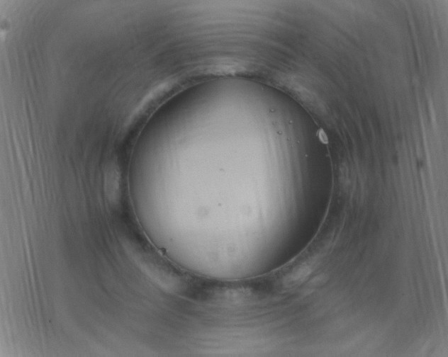 X0000074290304200609081858