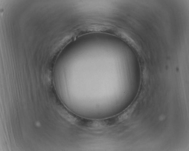 X0000074290305200609081858