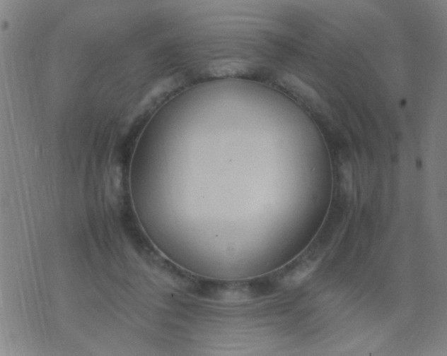 X0000074290308200609081858