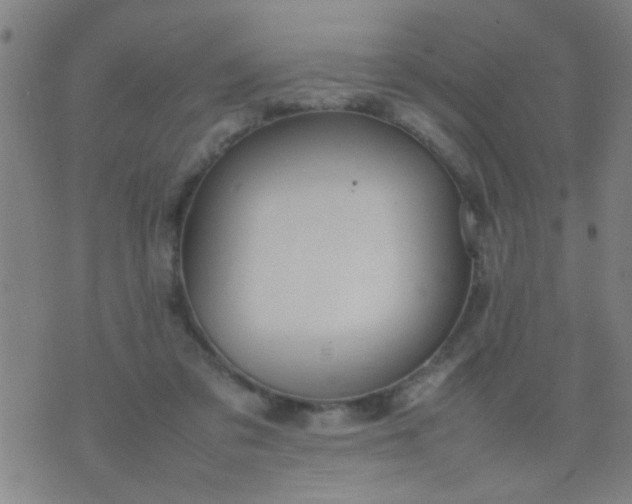 X0000074290309200609081858