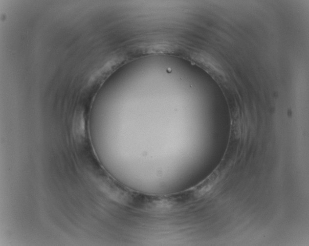 X0000074290310200609081858