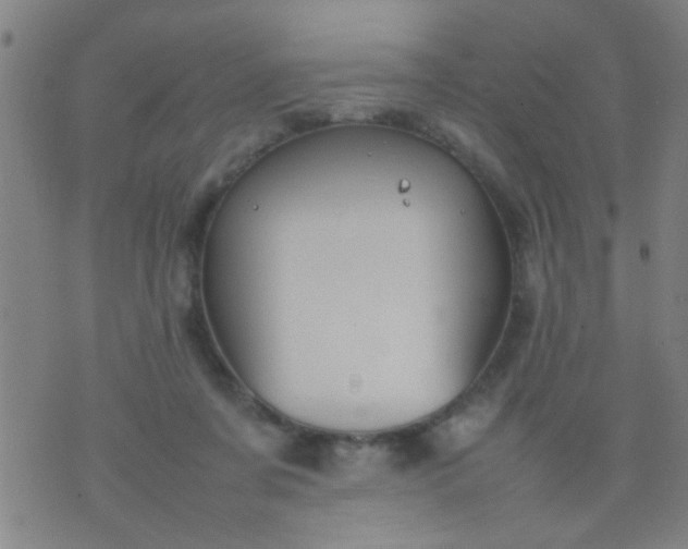 X0000074290311200609081858