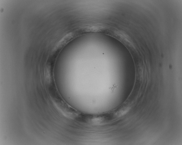 X0000074290312200609081858