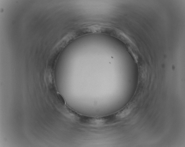 X0000074290313200609081858