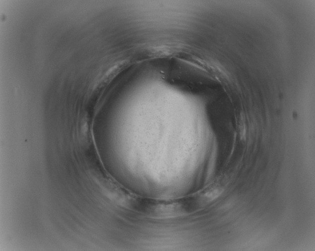 X0000074290314200609081858