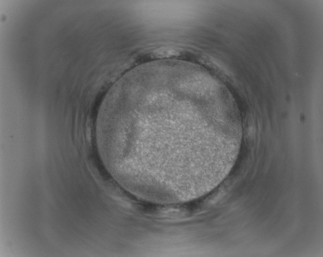 X0000074290315200609081858