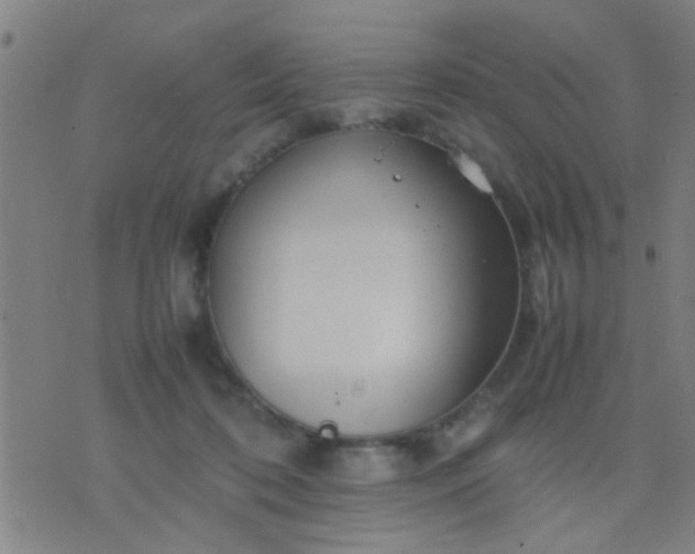 X0000074290316200609081858