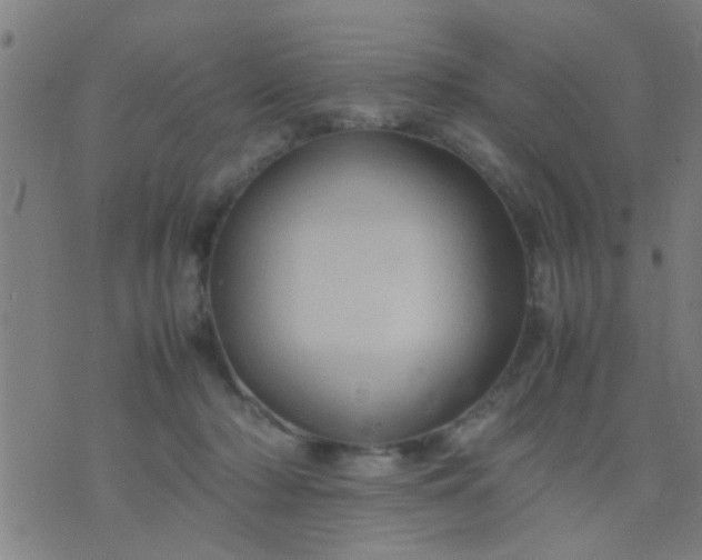 X0000074290318200609081858