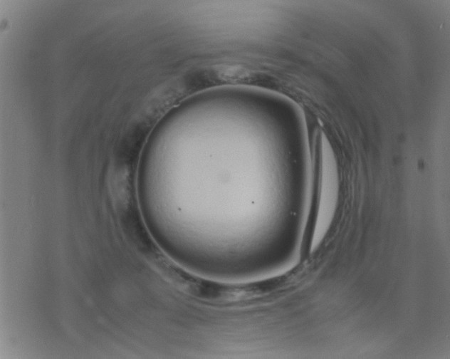 X0000074290319200609081858