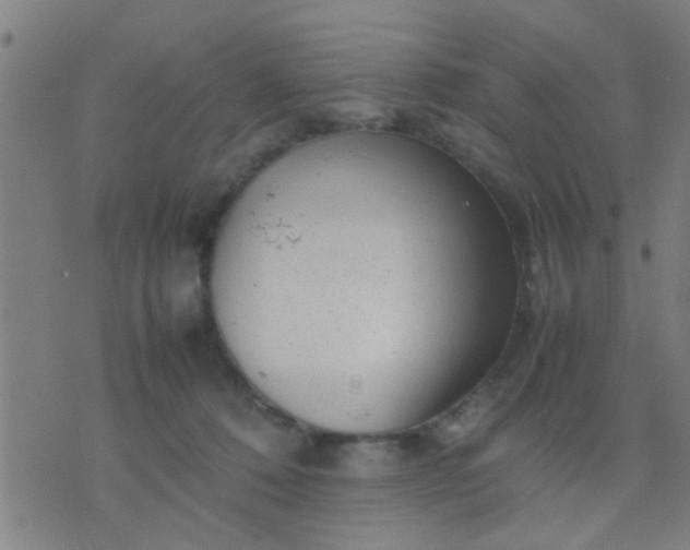 X0000074290320200609081858