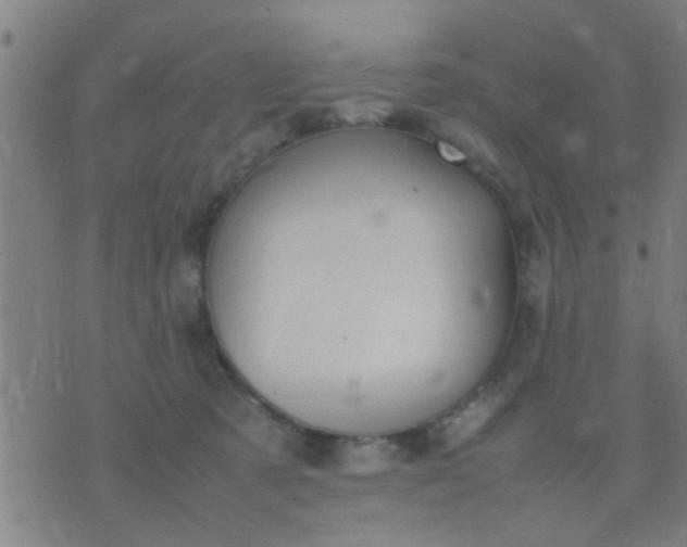 X0000074290321200609081858