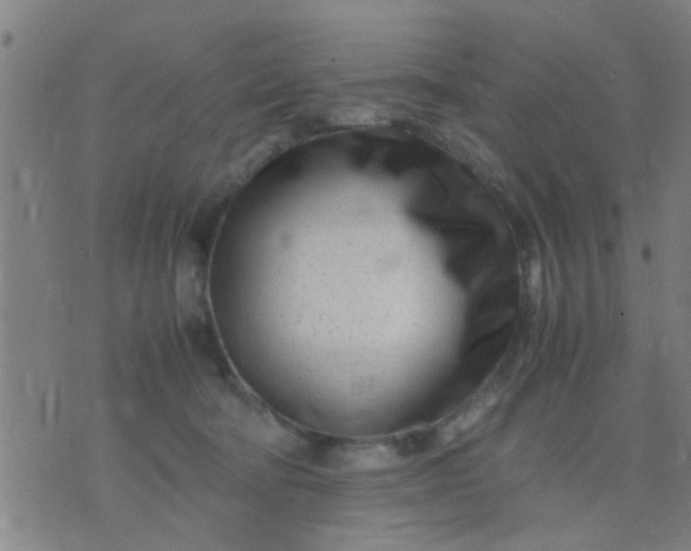 X0000074290322200609081858