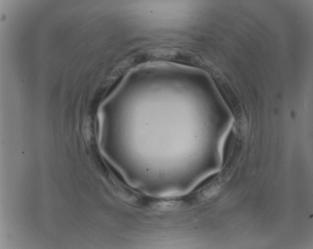 X0000074290323200609081858