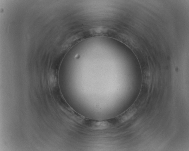 X0000074290324200609081858