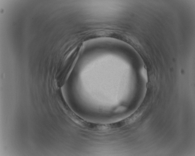 X0000074290325200609081858