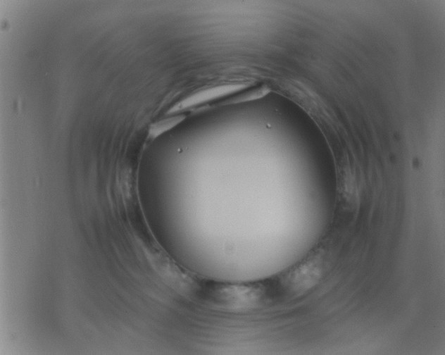 X0000074290326200609081858