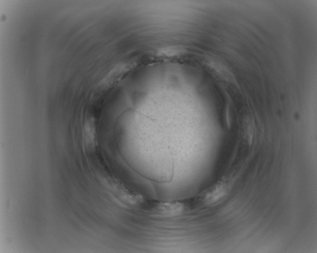 X0000074290328200609081858