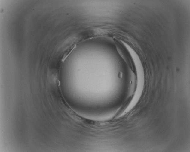 X0000074290329200609081858