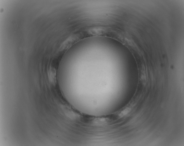 X0000074290332200609081858