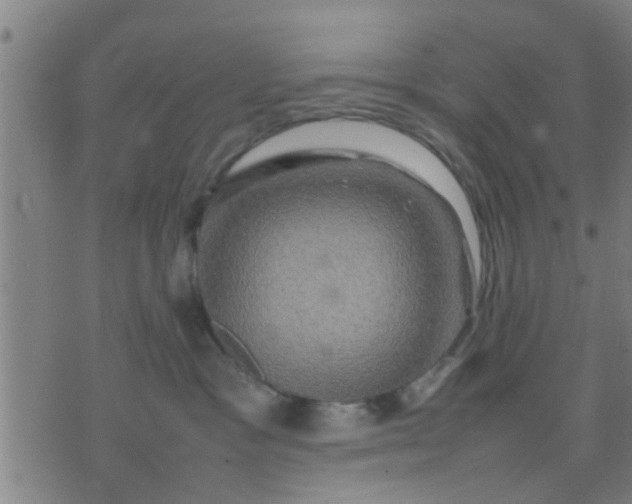 X0000074290333200609081858