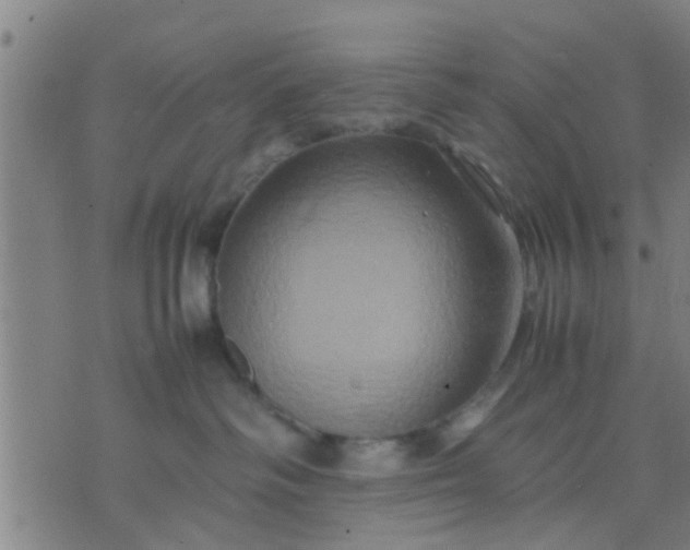 X0000074290334200609081858