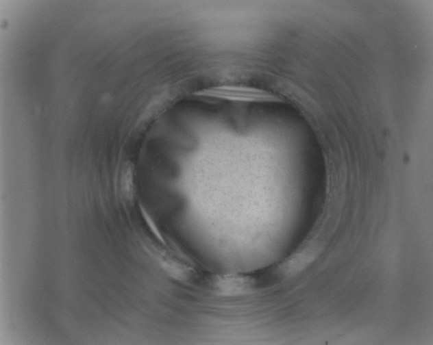 X0000074290336200609081858