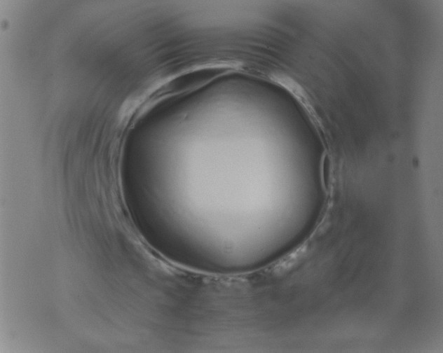 X0000074290337200609081857