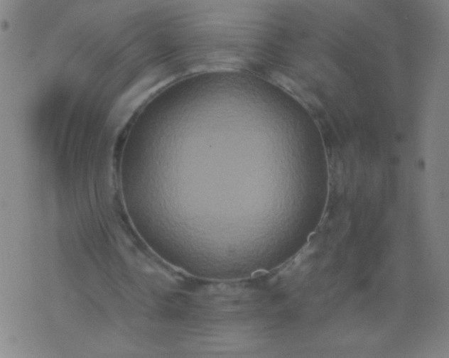 X0000074290338200609081857