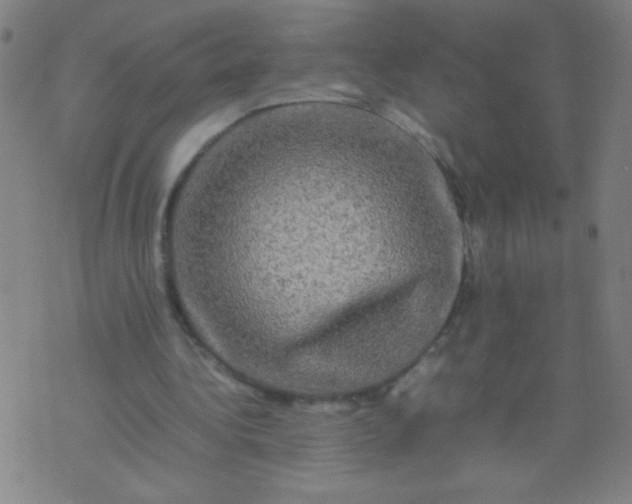 X0000074290340200609081857