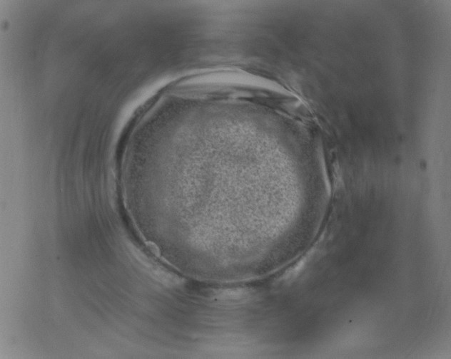 X0000074290342200609081857