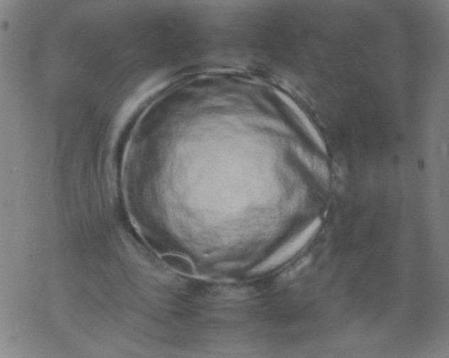 X0000074290343200609081857