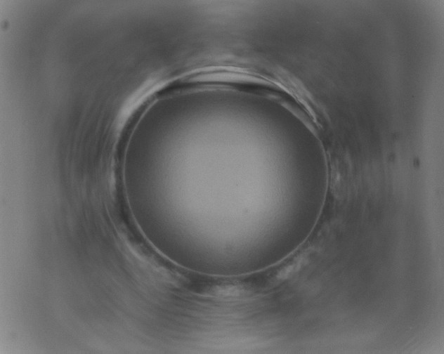 X0000074290344200609081857